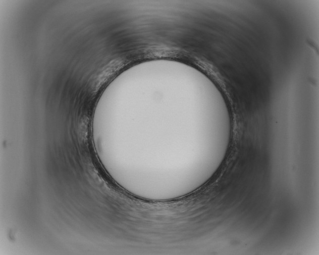 X0000102870010200809081216