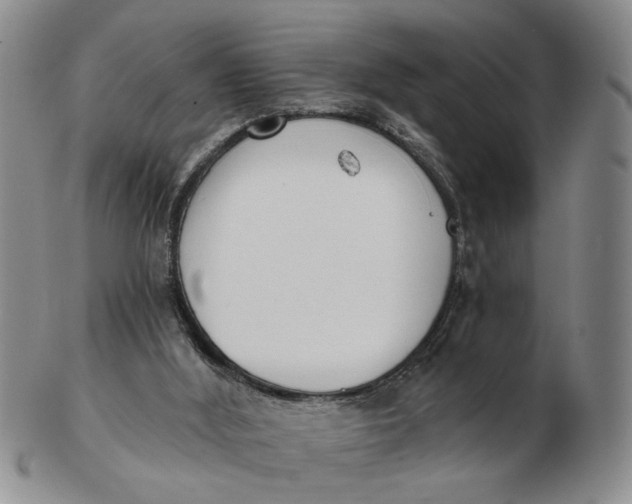 X0000102870012200809081216