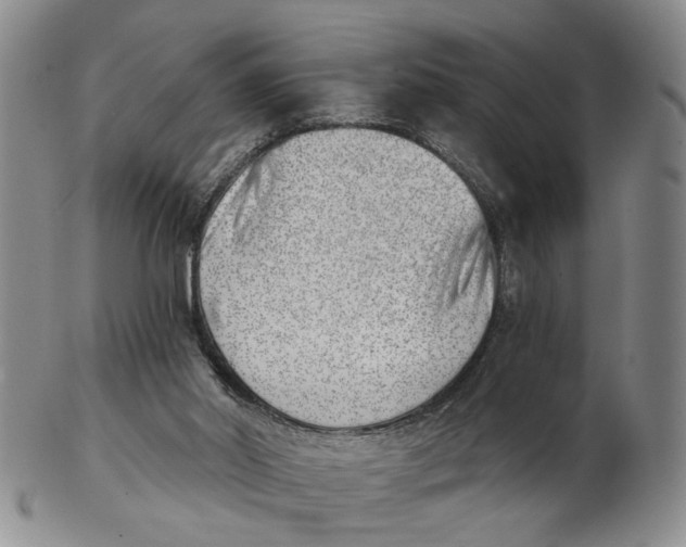 X0000102870014200809081216