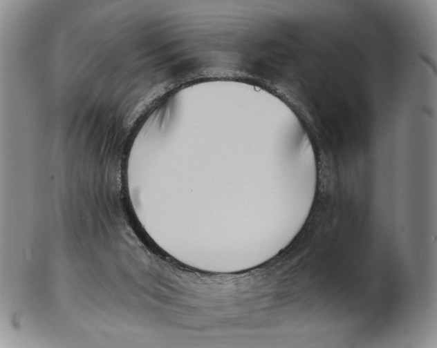 X0000102870015200809081216