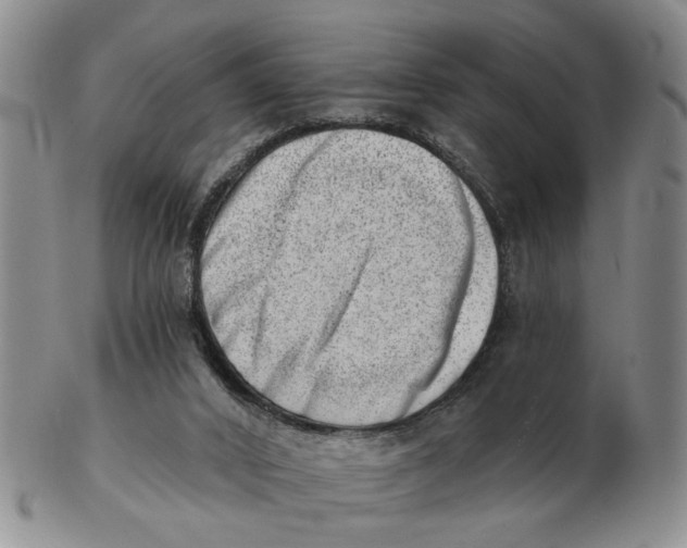 X0000102870016200809081216