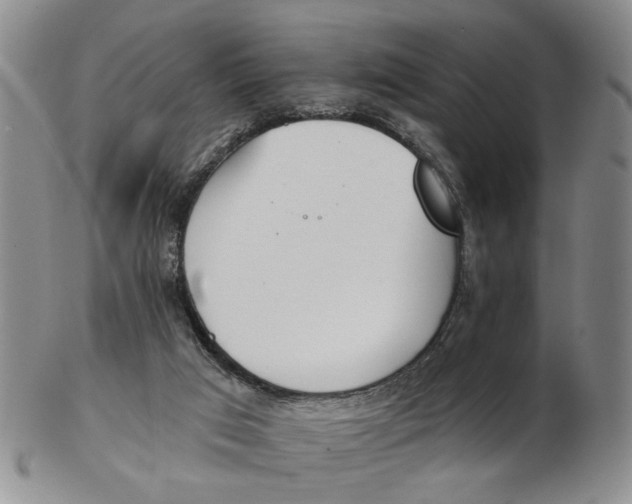 X0000102870017200809081216