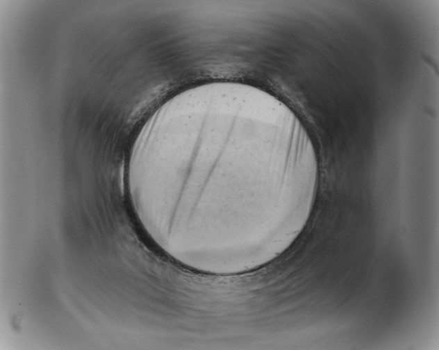 X0000102870019200809081216