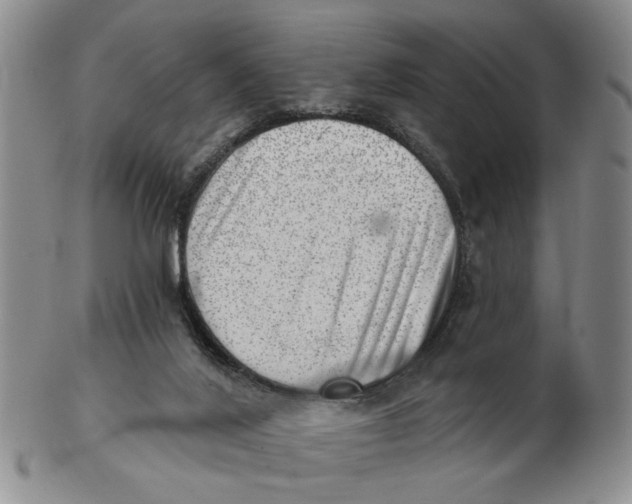 X0000102870020200809081216