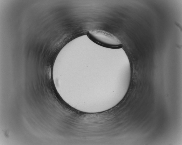 X0000102870021200809081216