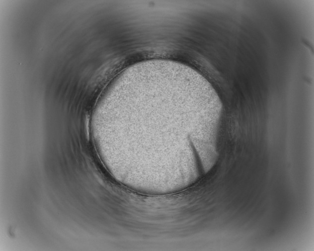 X0000102870022200809081216