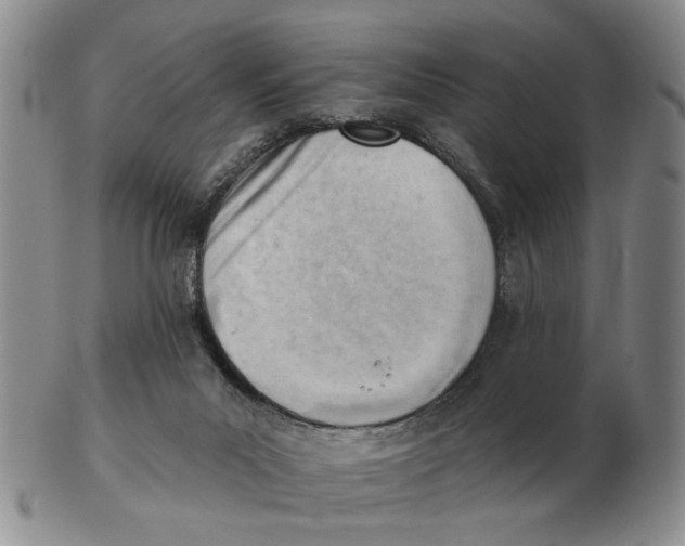 X0000102870023200809081216