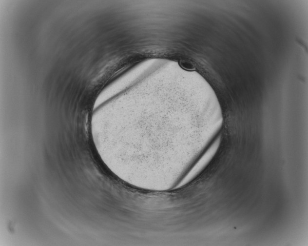 X0000102870024200809081216