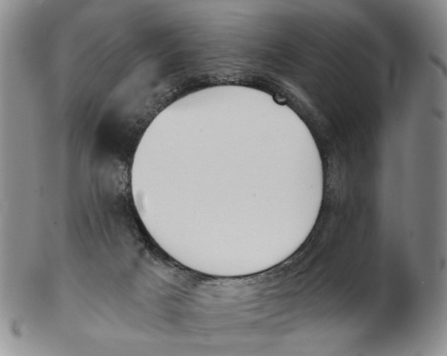 X0000102870025200809081216