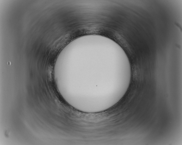 X0000102870026200809081216