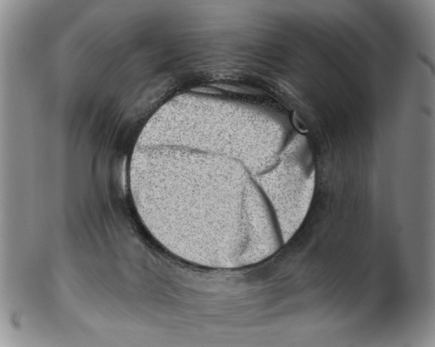 X0000102870028200809081216