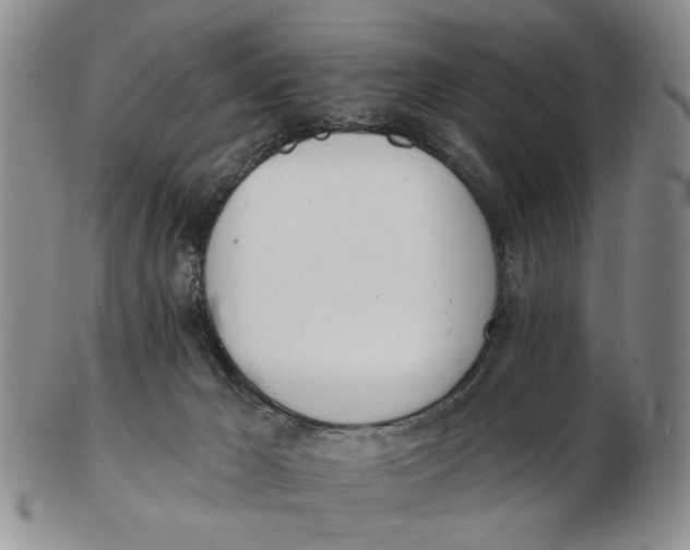 X0000102870029200809081216