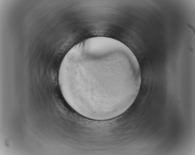 X0000102870031200809081216