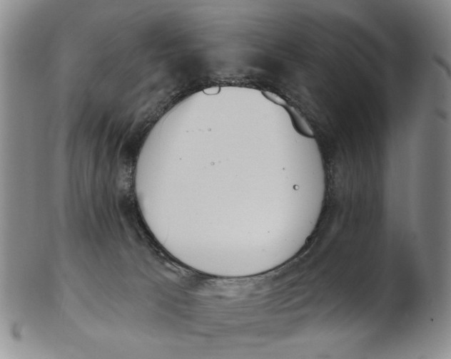 X0000102870033200809081216