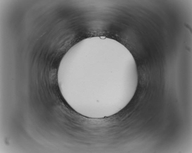 X0000102870034200809081216