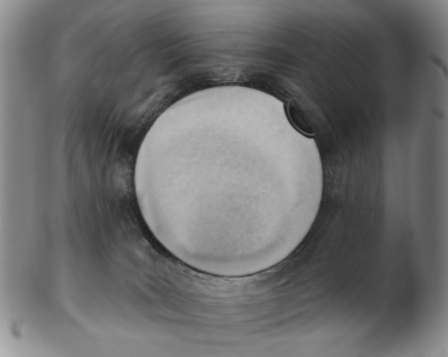 X0000102870035200809081216