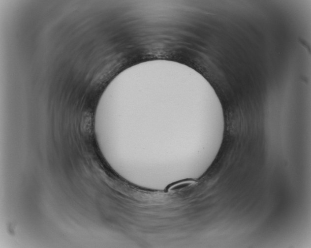 X0000102870036200809081216