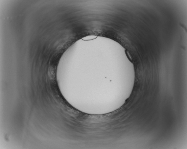 X0000102870037200809081216