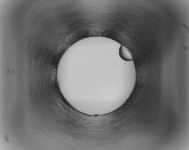 X0000102870038200809081216