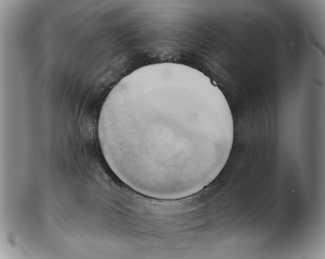 X0000102870039200809081216