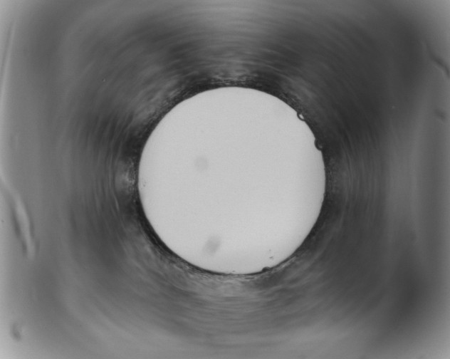 X0000102870040200809081215