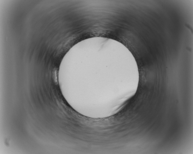 X0000102870042200809081215