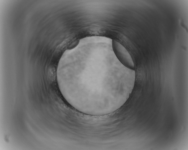 X0000102870043200809081215