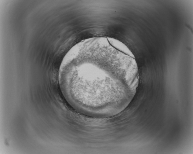 X0000102870044200809081215