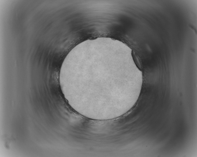 X0000102870045200809081215