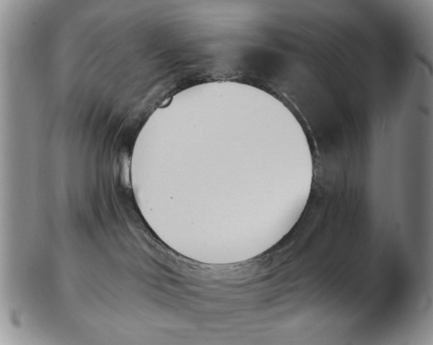 X0000102870046200809081215