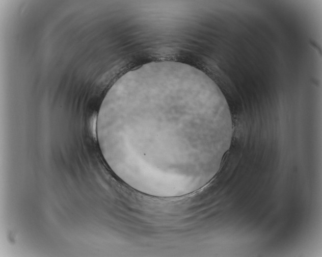 X0000102870047200809081215