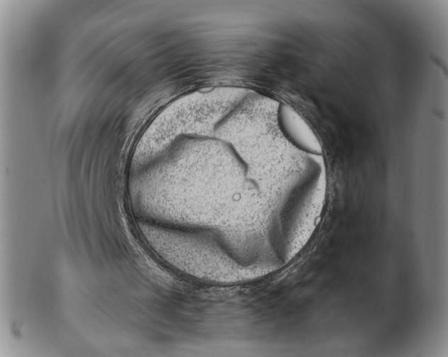 X0000102870049200809081215