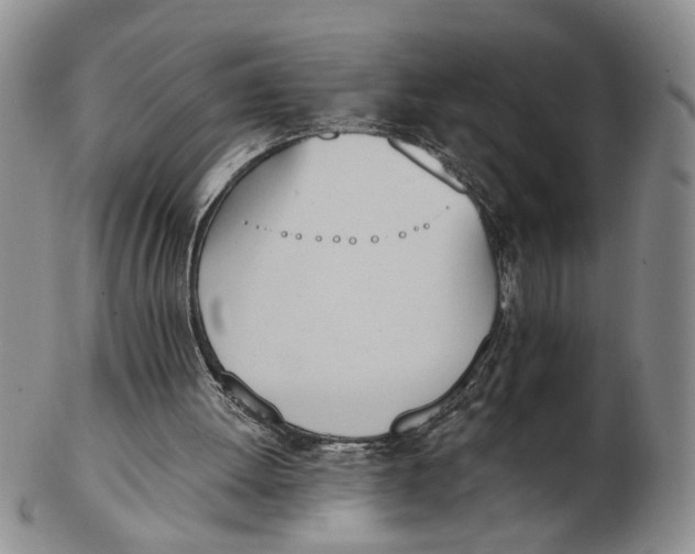 X0000102870052200809081215