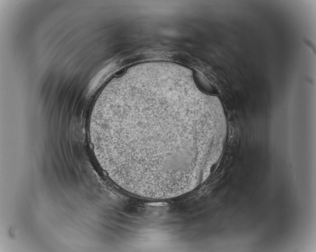 X0000102870053200809081215