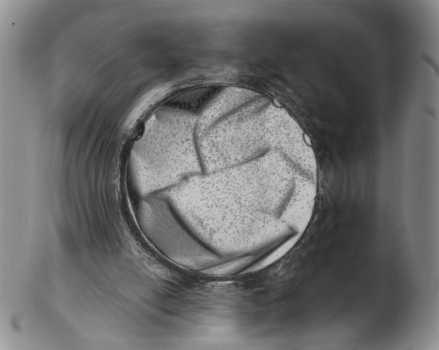 X0000102870054200809081215