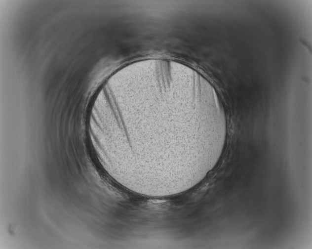 X0000102870055200809081215