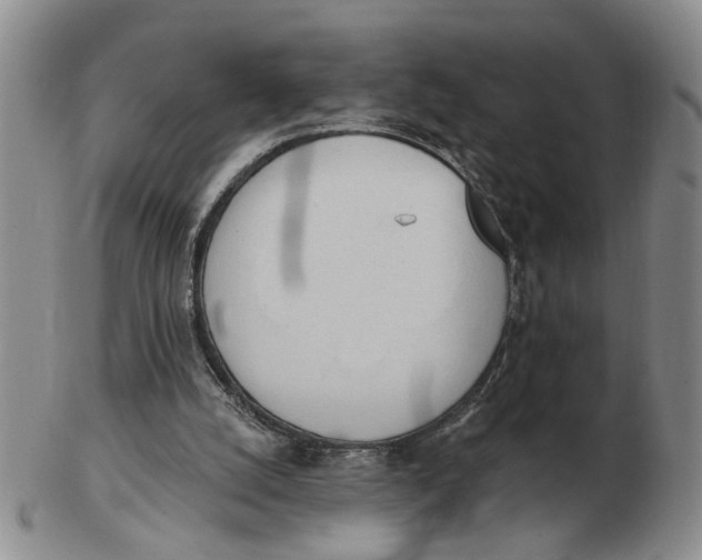 X0000102870056200809081215