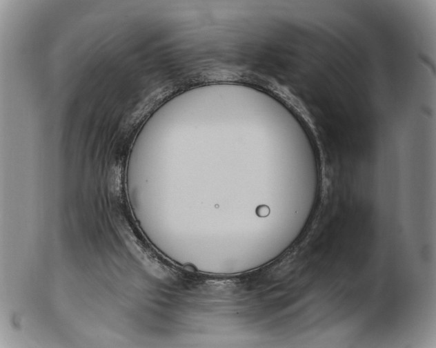 X0000102870057200809081215