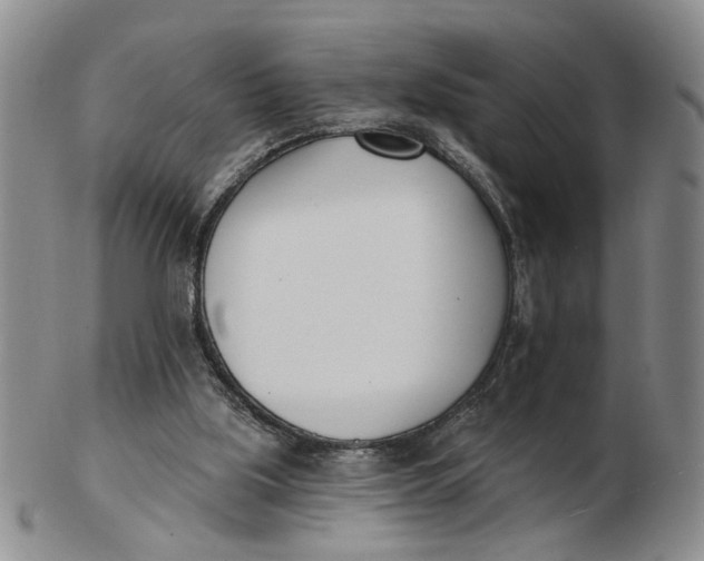 X0000102870059200809081215