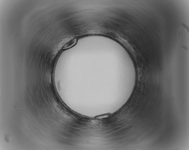 X0000102870060200809081215