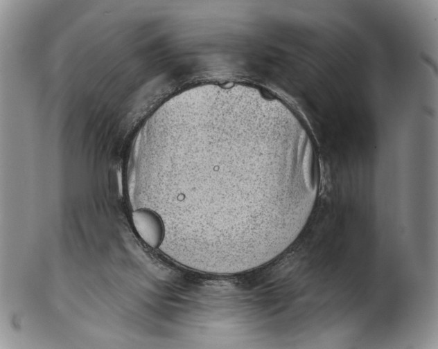 X0000102870061200809081215