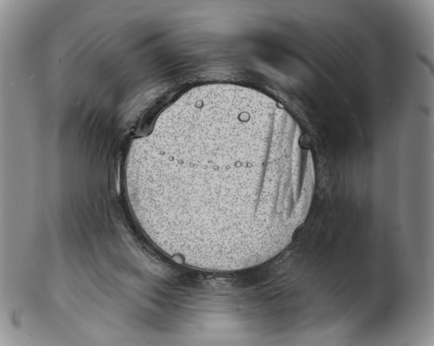 X0000102870062200809081215