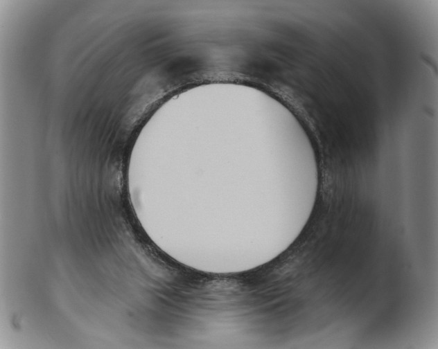 X0000102870063200809081215