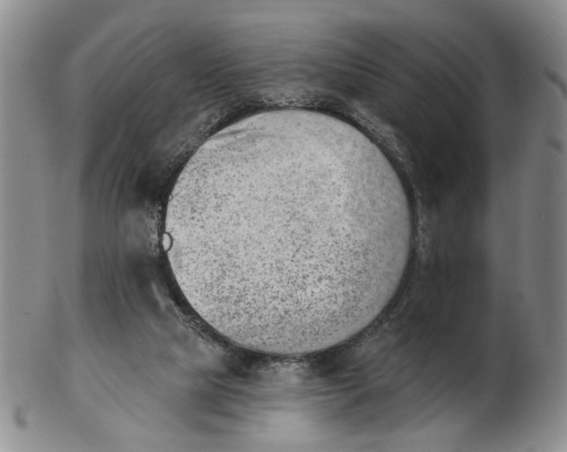 X0000102870065200809081215