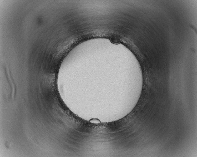 X0000102870066200809081215