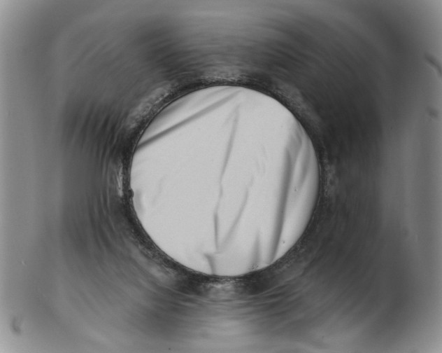 X0000102870068200809081215