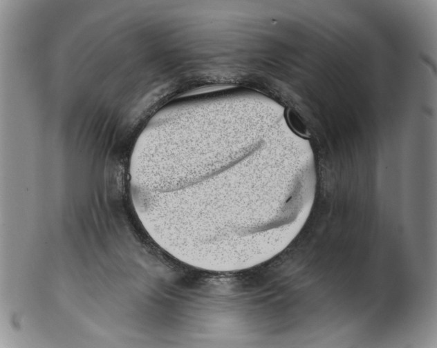 X0000102870071200809081215