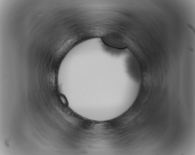 X0000102870072200809081215