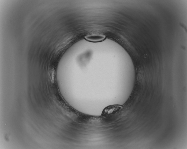 X0000102870076200809081215