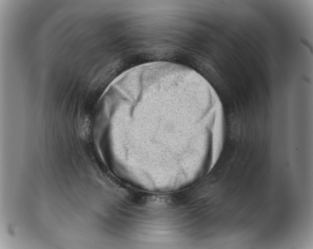 X0000102870077200809081215